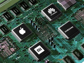 我国集成电路设计迎关键发展窗口，创新与生态构建成破局核心